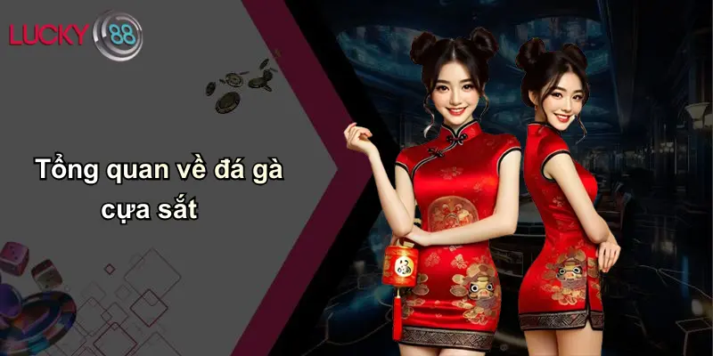 Đá Gà Cựa Sắt: Thế Giới Giải Trí Kịch Tính Cùng Lucky88 2 Tổng quan về đá gà cựa sắt